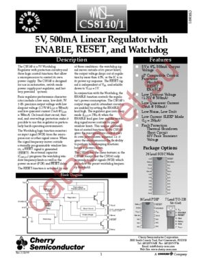 CS8140 datasheet  