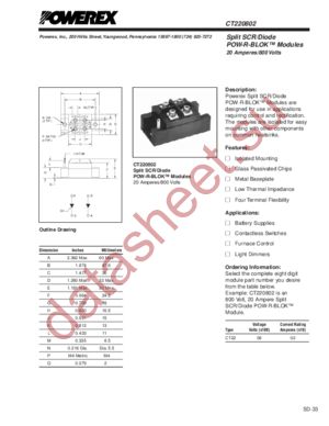 CT220802 datasheet  