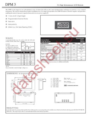 DPM3 datasheet  