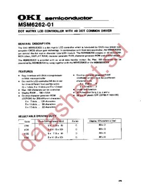 MSM6262-01 datasheet  