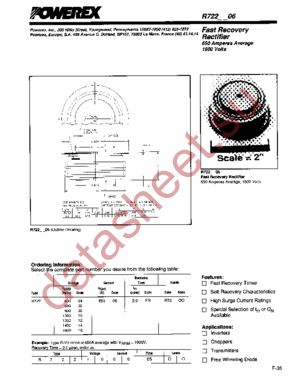 R7220806 datasheet  